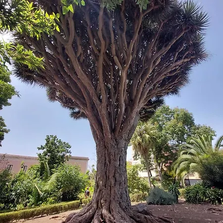 Con 1 Da Letto Con Vista Ov223 Апартаменти